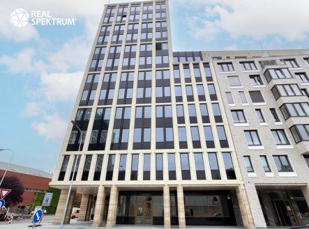 Pronájem kanceláře, 257 m²