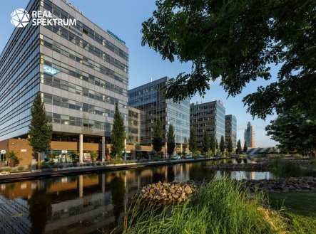 Pronájem kanceláře, 497 m²