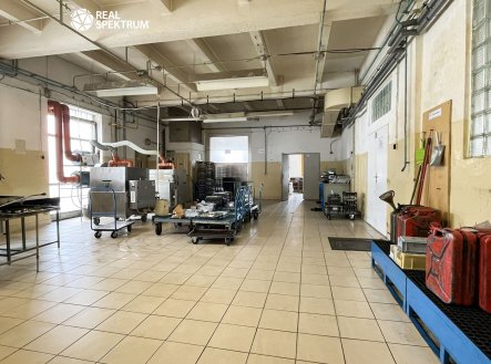 Prodej komerčního objektu, výroba, 10 000 m²