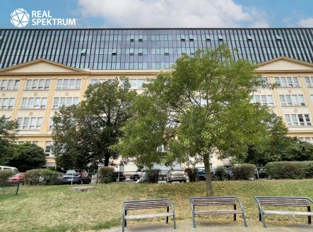 Pronájem kanceláře, 535 m²