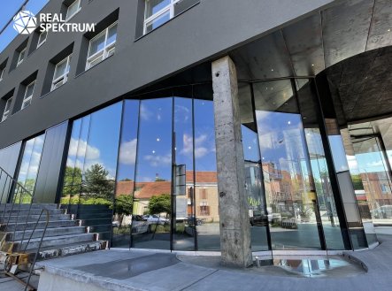 Pronájem kanceláře, 200 m²