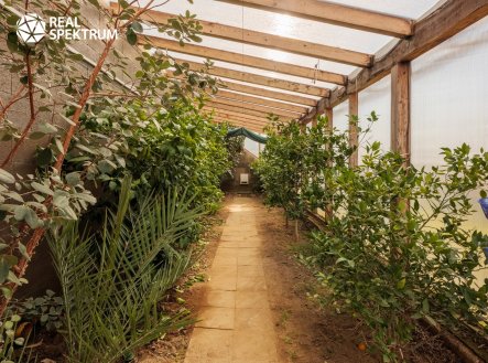 Prodej domu/vily, 175 m²