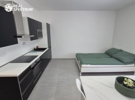 Pronájem bytu, 1+kk, 33 m²