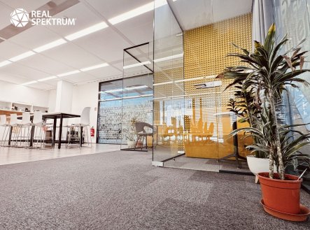 Pronájem_OP (1) | Pronájem - kanceláře, 256 m²