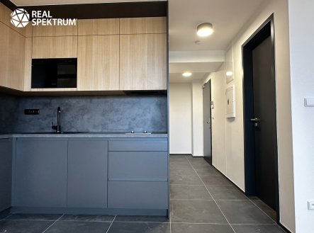 Pronájem bytu, 1+kk, 43 m²