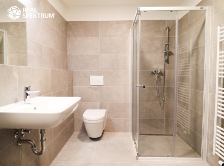 Pronájem bytu, 1+kk, 39 m²