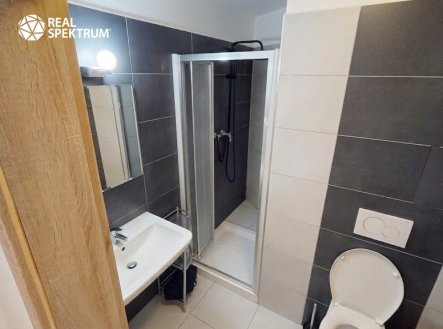 Pronájem bytu, 1+kk, 48 m²