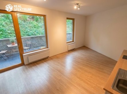 Pronájem bytu, 1+kk, 48 m²