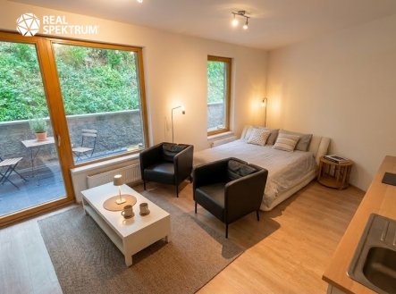 Pronájem bytu, 1+kk, 48 m²