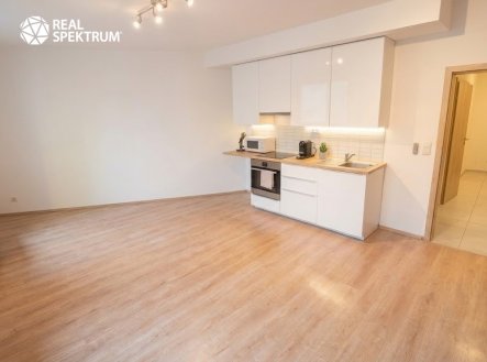 Pronájem bytu, 1+kk, 48 m²
