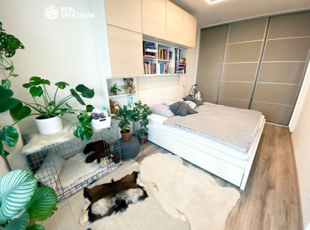 Pronájem bytu, 2+kk, 57 m²