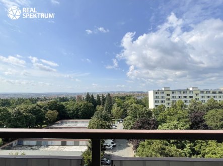Pronájem bytu, 1+1, 28 m²