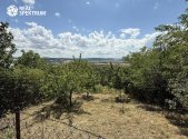 Prodej pozemku, zahrada, 745 m²