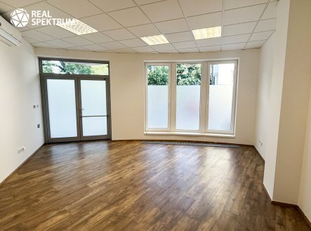 Pronájem kanceláře, 81 m²