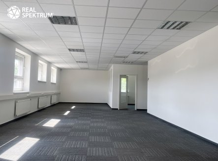 Pronájem kanceláře, 213 m²