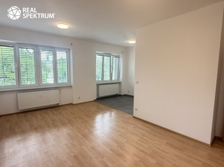 Pronájem bytu, 1+kk, 41 m²