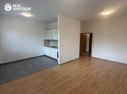 Pronájem bytu, 1+kk, 41 m²