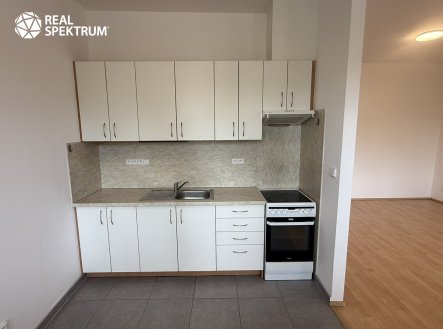 Pronájem bytu, 1+kk, 41 m²