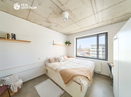 Pronájem bytu, 1+kk, 24 m²