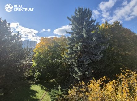 Pronájem bytu, 3+1, 70 m²
