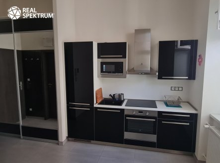 Pronájem bytu, 1+kk, 22 m²