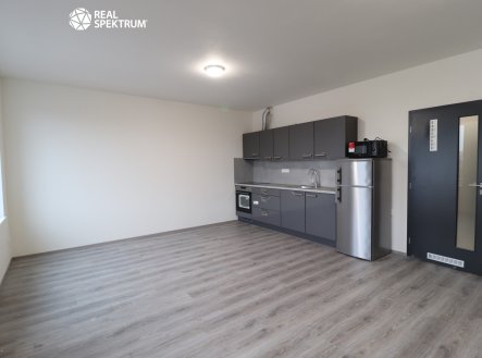 Pronájem bytu, 1+kk, 39 m²