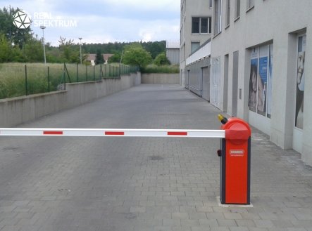 Pronájem