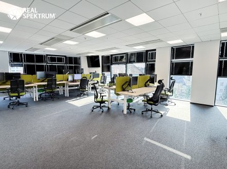 Pronájem kanceláře, 288 m²