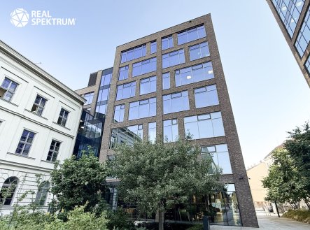 Pronájem kanceláře, 288 m²