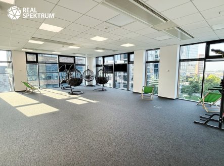 Pronájem kanceláře, 288 m²