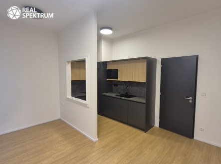Pronájem bytu, 1+kk, 32 m²