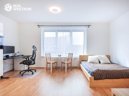 Prodej bytu, 1+kk, 43 m²