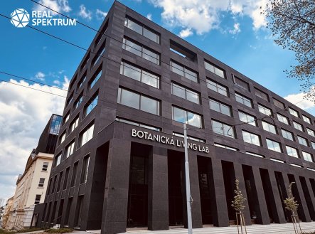 Pronájem kanceláře, 250 m²