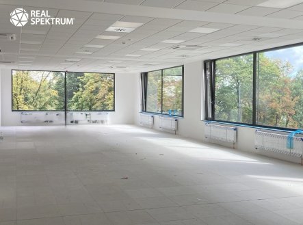 Pronájem kanceláře, 250 m²