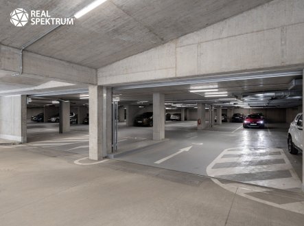 Pronájem kanceláře, 250 m²