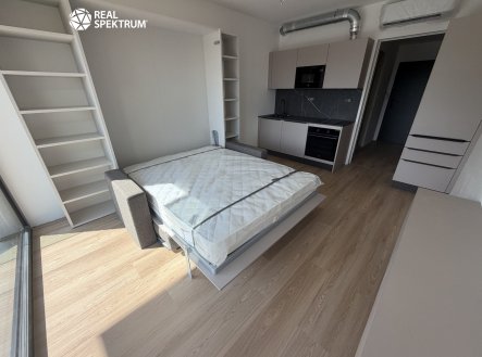 Pronájem bytu, 1+kk, 23 m²