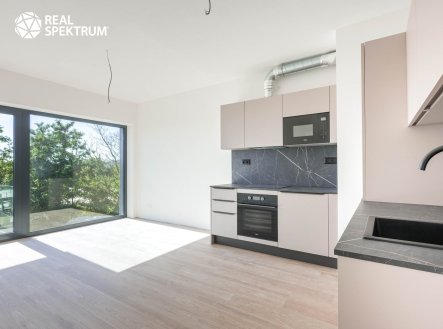 Pronájem bytu, 3+kk, 61 m²