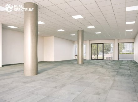 Pronájem obchodní prostory, 234 m²