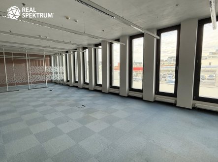 Pronájem kanceláře, 296 m²