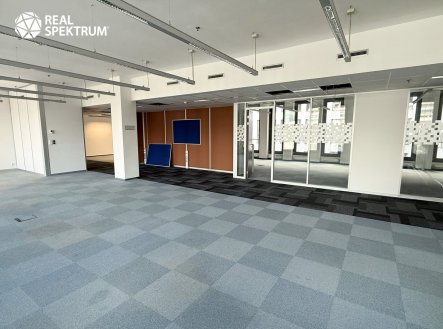 Pronájem kanceláře, 296 m²