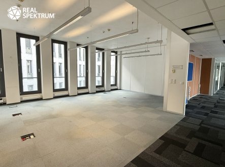 Pronájem kanceláře, 296 m²