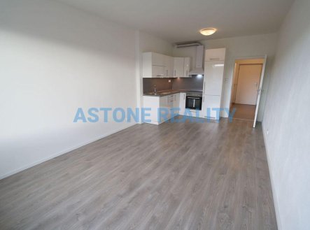 Pronájem bytu, 1+kk, 39 m²
