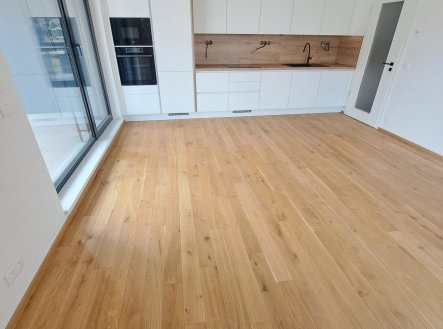 Pronájem bytu, 1+kk, 65 m²