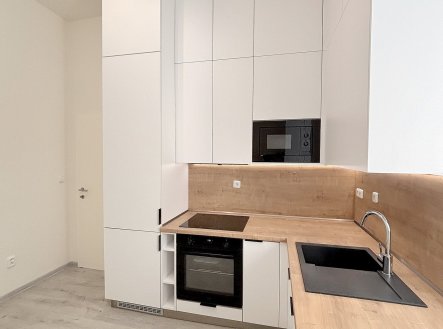 Pronájem bytu, 1+1, 47 m²