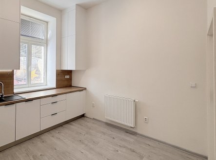 Pronájem bytu, 1+1, 47 m²