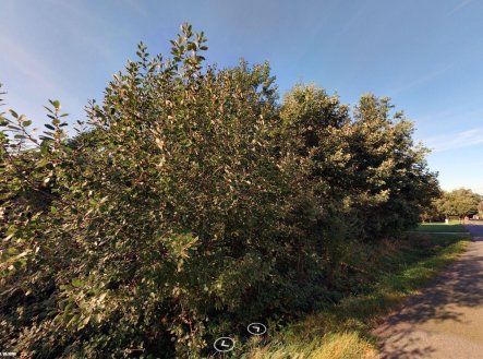 Prodej pozemku, trvalý travní porost, 2 790 m²