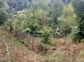 Prodej pozemku pro bydlení, 667 m²