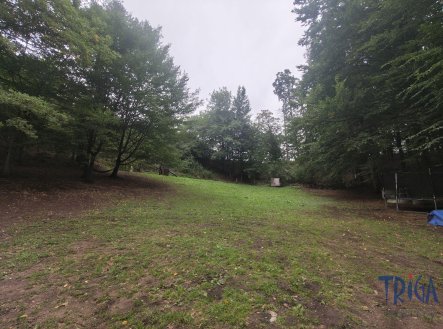 Prodej pozemku, zahrada, 5 859 m²