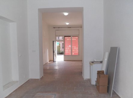 Prodej obchodní prostory, 53 m²