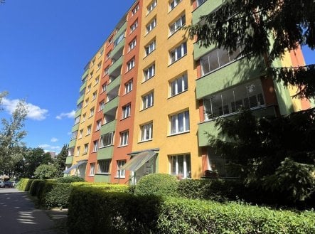Pronájem bytu, 2+kk, 35 m² obrázek